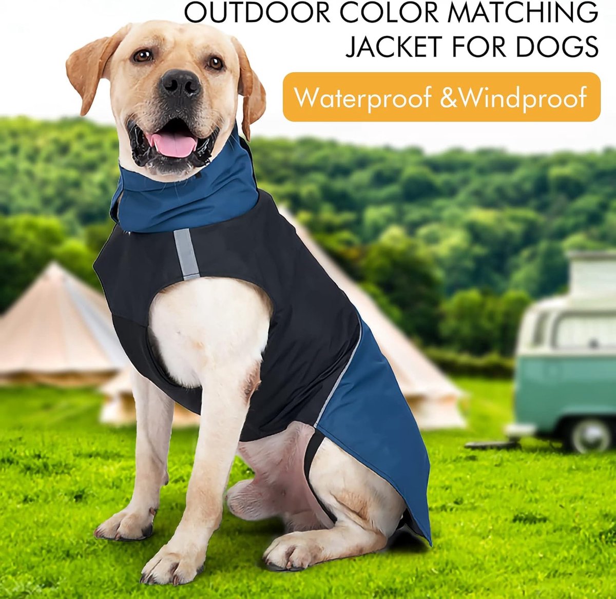 Dog Raincoat - Dog Jacket - Waterproof Winter Dog Jackets - Windproof Dog Jacket - Winter Dog Jacket - Reflective Strip - Perfect for Small Dogs - Medium-Sized Dogs - Blue and Yellow - Size XXL