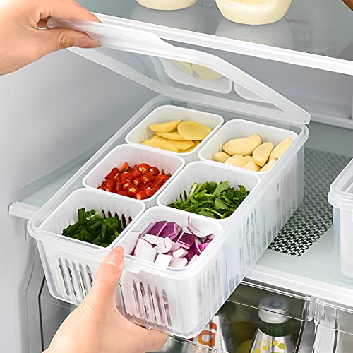 Food storage containers