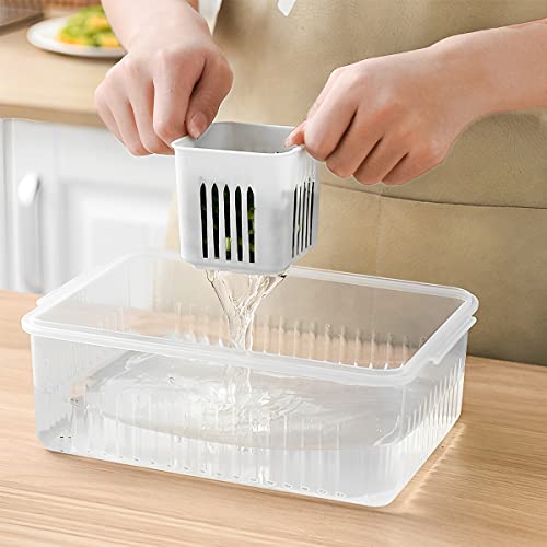 Food storage containers