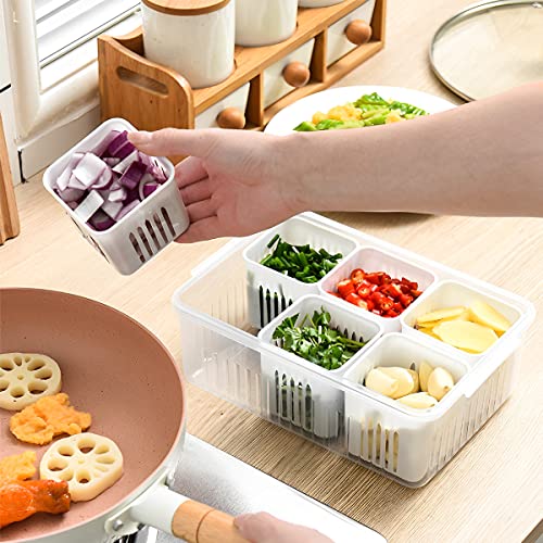 Food storage containers