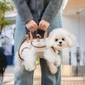 Compact and comfortable pet carrier designed for small dogs and cats