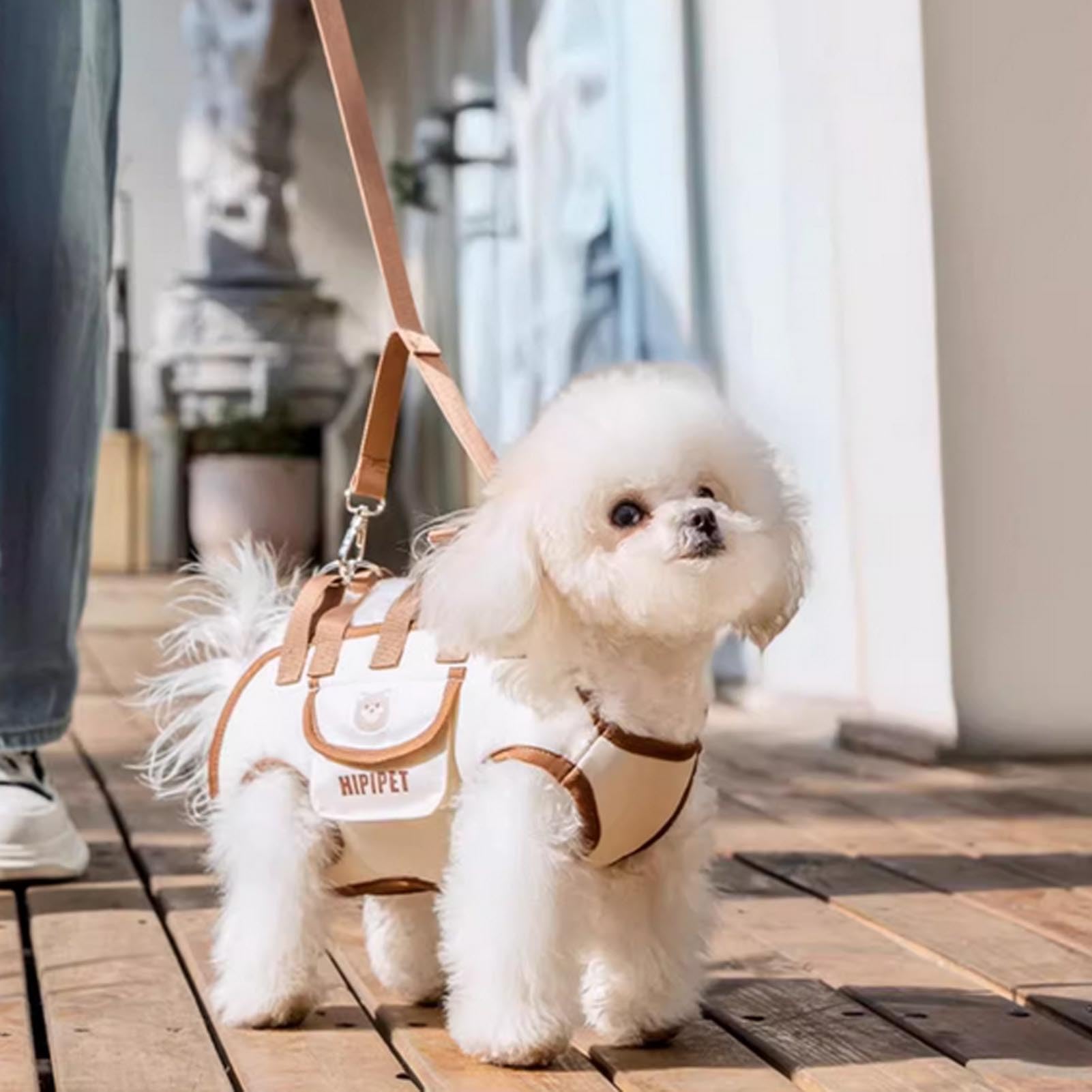 Compact and comfortable pet carrier designed for small dogs and cats