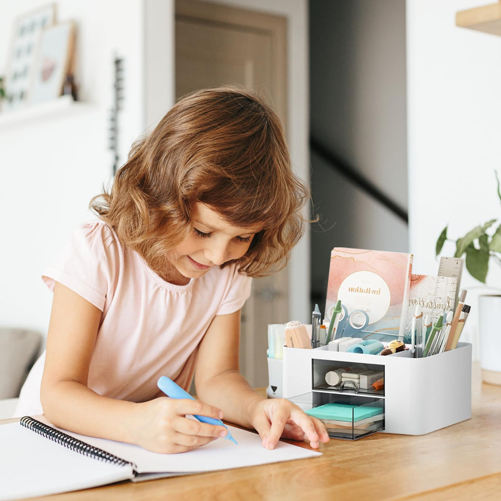 Desk Organizer/Make-up