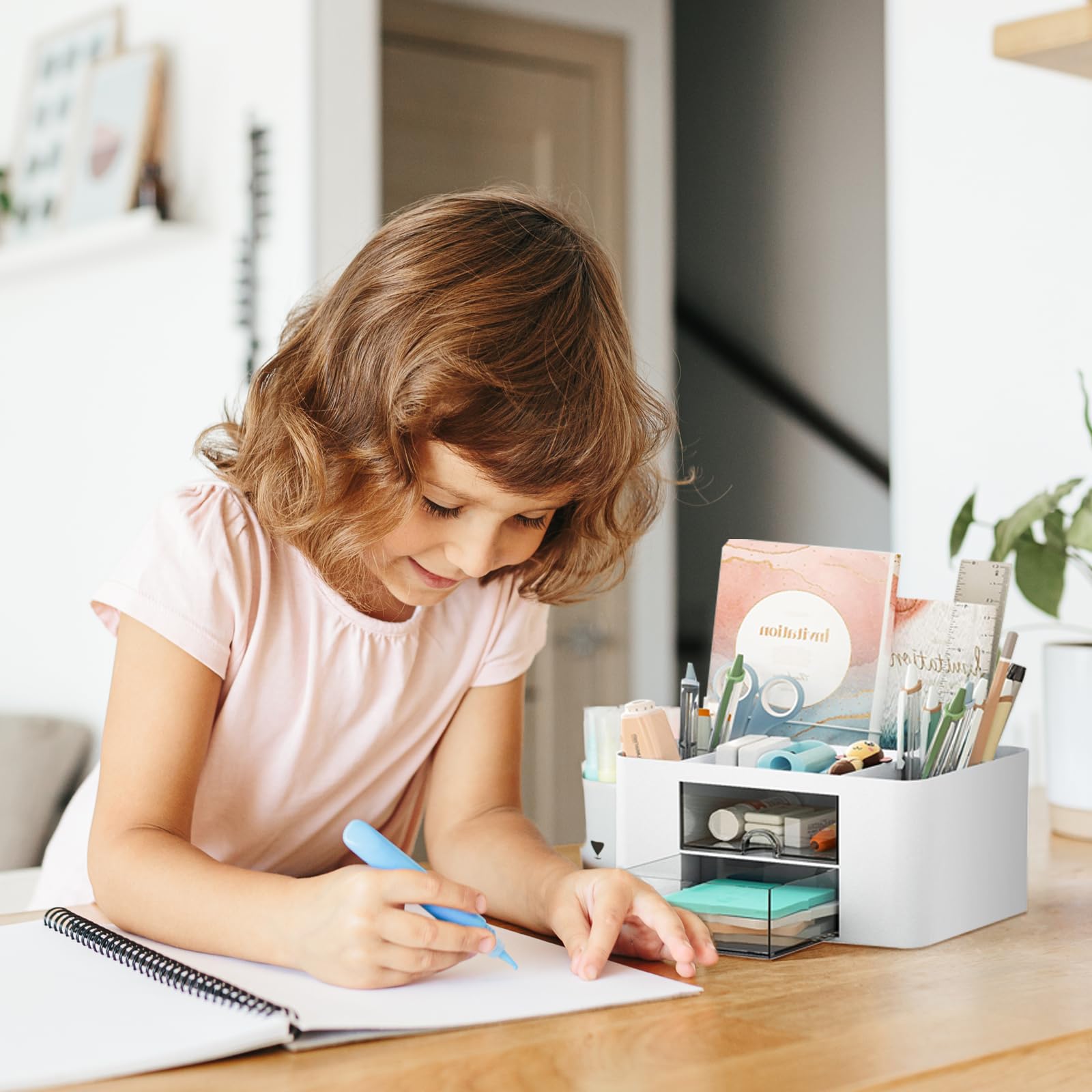 Desk Organizer/Make-up