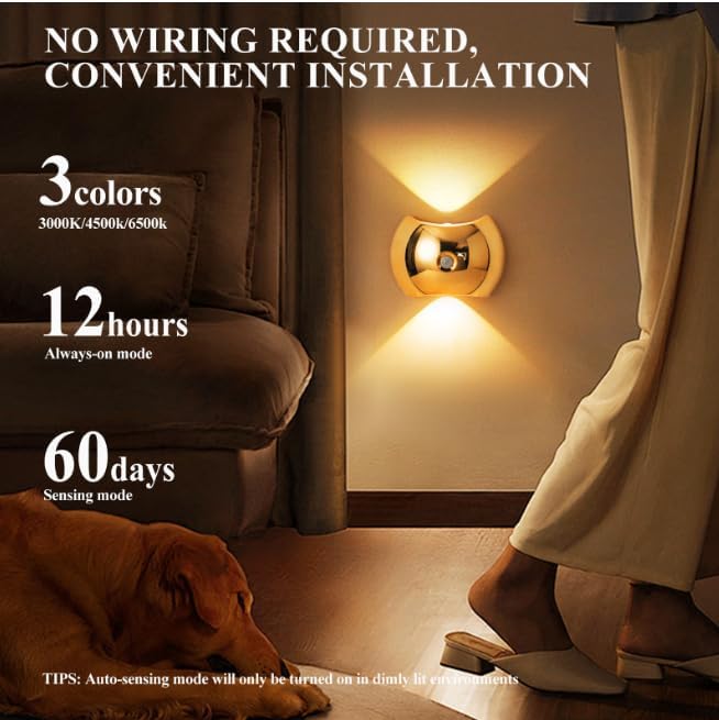 Night Lamp