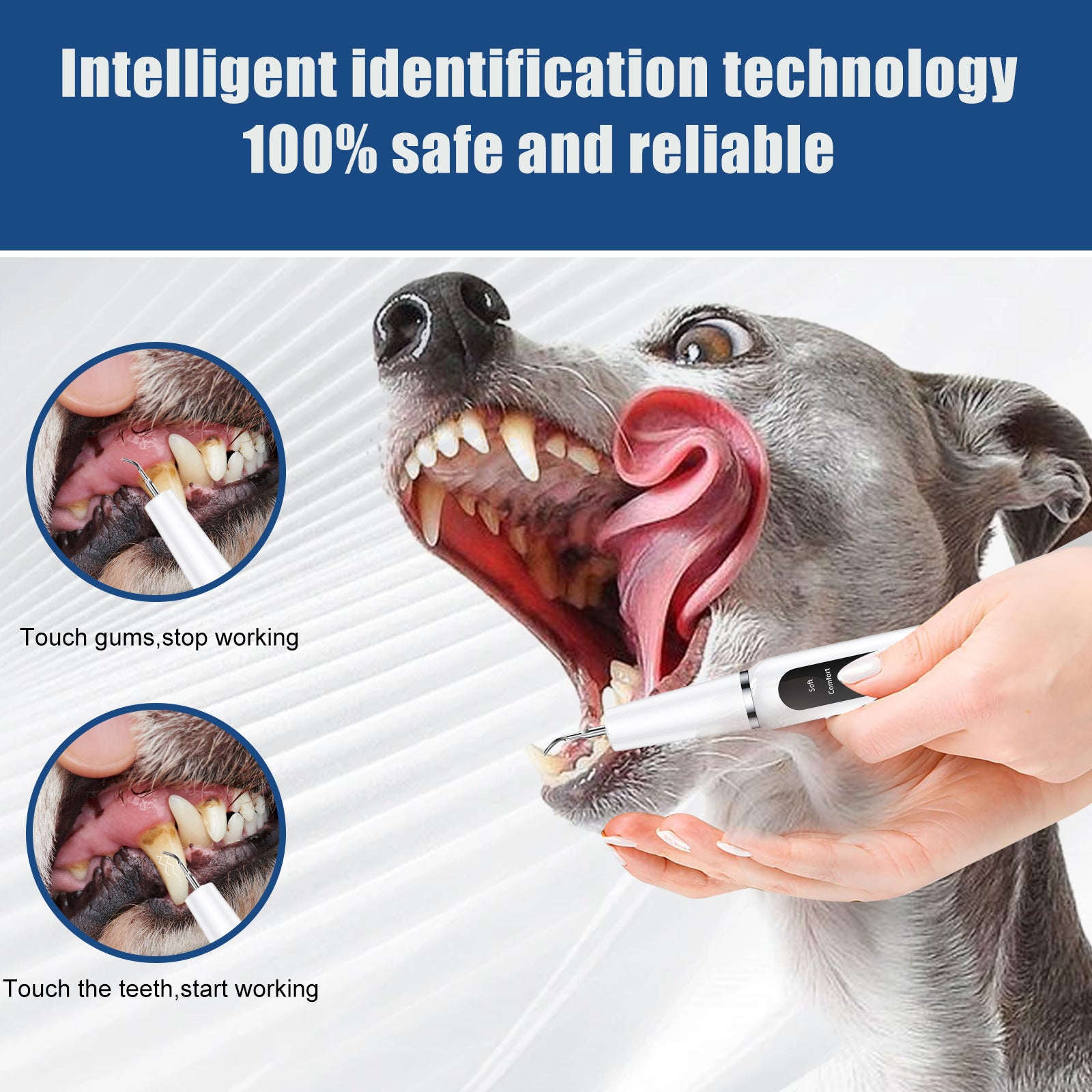 Black Professional Pet Dental Cleaning Kit - Ultrasonic Scaler, Tools & 3 Modes